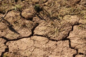 A closeup look of the ground with cracks in it from drought