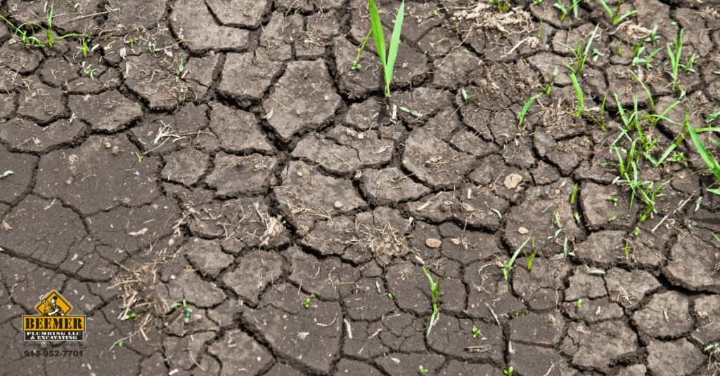 Beemer Plumbing & Excavation Plumbing Blog How Extreme Summer Weather Can Damage Your Plumbing
